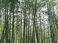 -达蓬山旅游度假区