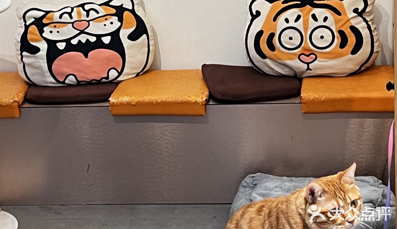 周末偶遇到天河南安静一隅咖啡店🐱