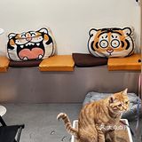 周末偶遇到天河南安静一隅咖啡店🐱