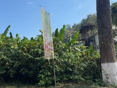 -野象谷景区