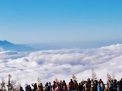-富士山吉田線五合目