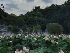 -广州莲花山旅游区