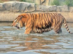 -祥源·阜阳生态乐园