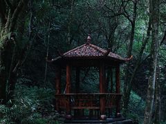 -西岭雪山大飞水景区