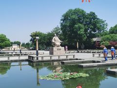 -尚湖风景区