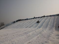 -绿野森林乐园冰雪季