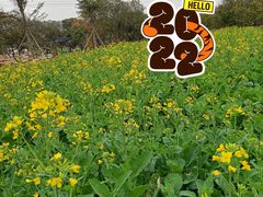 -长洲岛都市农业公园