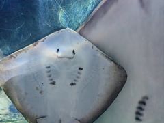 -南昌海洋公园