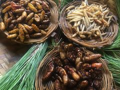 -昆虫窝子·特色云南菜(拓东路总店)
