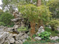 -上海醉白池公园