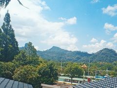 -宴武夷·匠心闽味(印象大红袍店)
