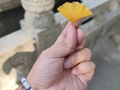 -西园戒幢律寺