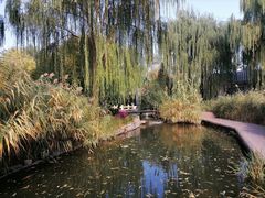 -春风习习