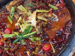 -老板恋上鱼(恒隆广场店)