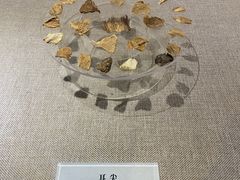 -巴音郭楞蒙古自治州博物馆