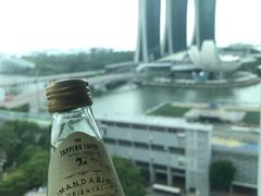 -新加坡文华东方酒店