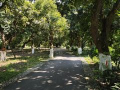 -张坝桂圆林公园