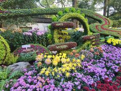 -杭州植物园