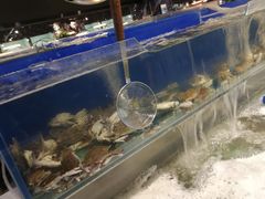 水产区-圣罗巴海鲜自助(黑金店)