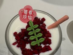 -阿露佳·舌尖上的安吉菜