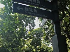 -月亮湾公园