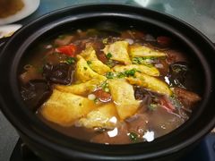 -东哥紫阳蒸盆子(旺座·现代城店)