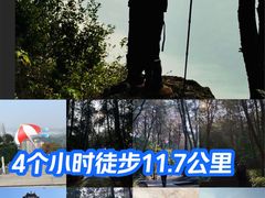 -铁山坪森林公园