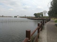 景点-鹅湖玫瑰文化园