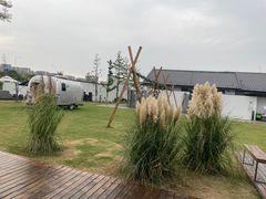 -平湖万怡酒店· 万荟轩