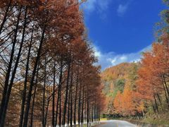 -光雾山旅游景区