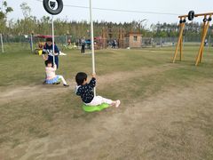 -上海长兴岛郊野公园