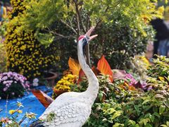 -共青国家森林公园-售票处