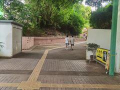 -九龙公园