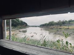-福田红树林生态公园