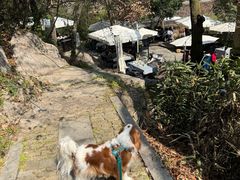 -龙井壹号·茶缘山景宴(龙井村店)
