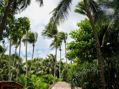 -三亚蜈支洲岛旅游区