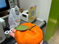 -葛尼沙印度餐厅 (镇明路店)