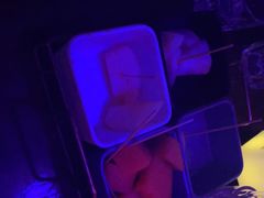 -苏荷酒吧(九街店)