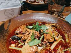 -馋嘴猫北京食堂·烤鸭·宵夜(亚运村店)