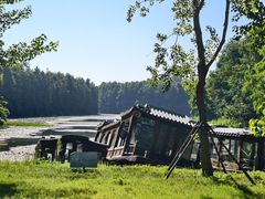 -上海海湾国家森林公园