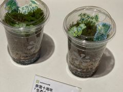 -奈雪的茶(广州万菱汇PRO店)
