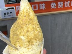 -野人先生现做冰淇淋(西安赛格店)