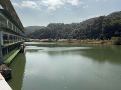 -致友月子会所旗舰店