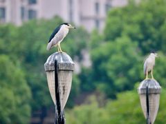 -苏州河梦清园环保主题公园