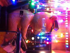 台北101大楼-台北101