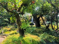 -Chom Cafe and Restaurant