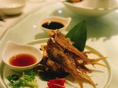 -宝燕壹号(徐汇店)