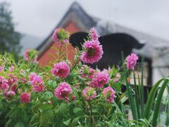 -潭柘寺景区