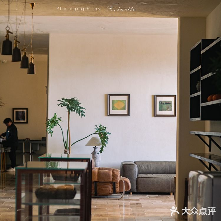 可可托海最靓新店🔥说是在上海武康路不为过吧