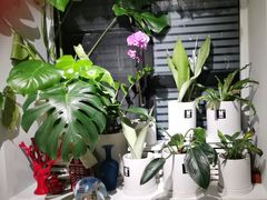 -懒人盐府人家(航天桥店)